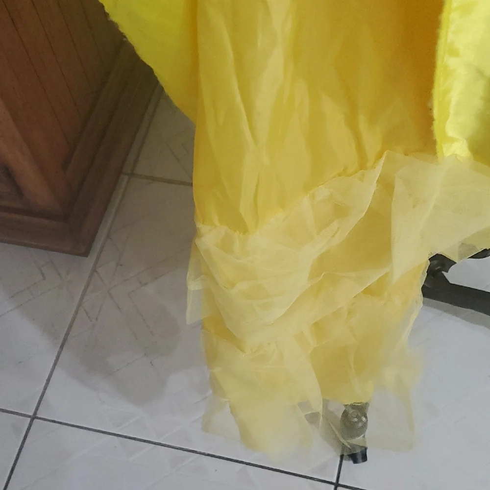 Disney Princess Costume with Blue and Yellow Dress - Picture 10 of 11